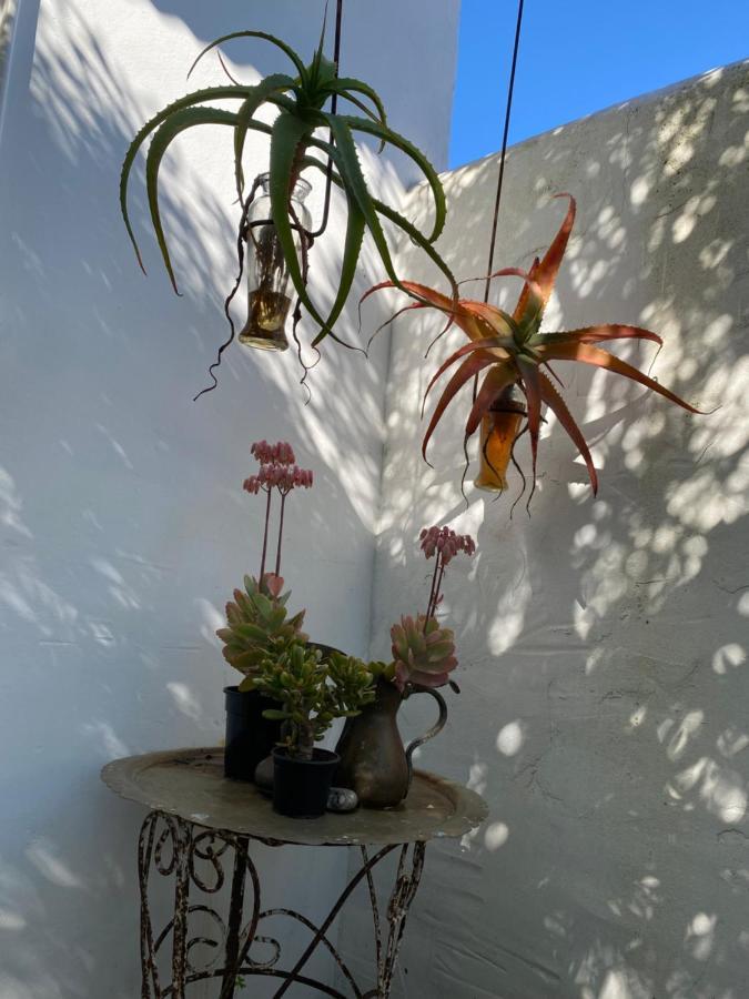 Hotel Gelukkie Paternoster Exteriér fotografie